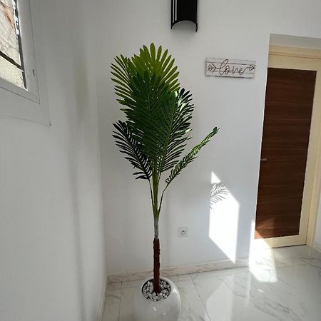 Magnifique Villa Avec Piscine Sur L'Ile De Djerba Houmt Souk  Eksteriør billede